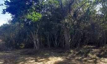 Imagem: Terreno com acesso a lagoa