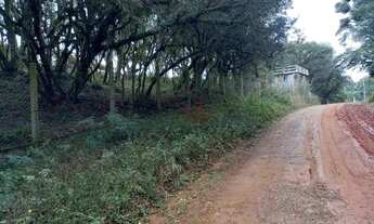 Imagem 5: Terreno na Barragem do Salto em São Francisco de Paula!