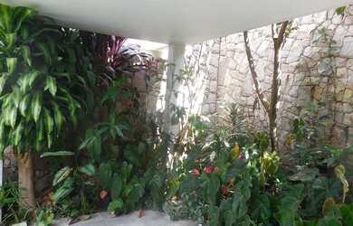 Imagem 6: Maravilhosa casa térrea, no Jardim Floresta, com 374m², 4 quartos, amplo quintal e 4 vagas