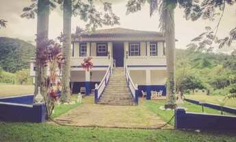 Imagem 3: 55 alqueires em em Piquete-SP