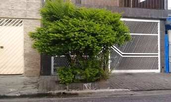 Imagem: São Paulo - Casa Padrão - Vila Formosa