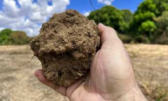 Imagem 2: Fazenda de 830 Hectares, Toda Plana, Solo Argiloso, Margeando 2,5 km Rio São Francisco - J