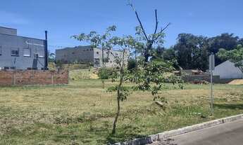 Imagem 3: Terreno na Protásio Alves