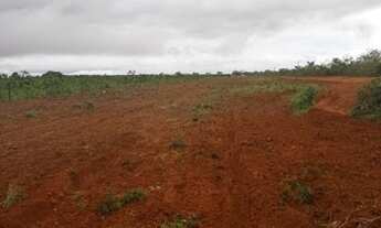 Imagem 6: Fazenda no Oeste do MT