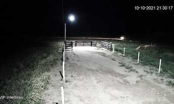 Imagem 4: Fazenda no Oeste do MT