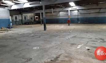 Imagem 6: São Paulo - Galpão/Depósito/Armazém - Vila Prudente