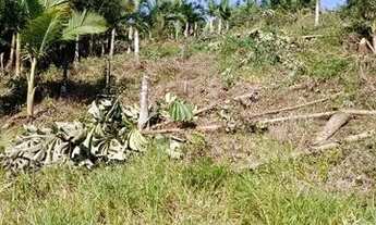 Imagem 5: Terreno no interior de 2688m2