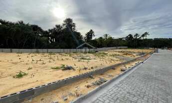 Imagem 7: Lote 245m² em Barreirinhas Prainha MKT¨TR144015¨-03