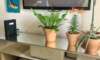 Imagem 3: Alugo apartamento nos Ingleses