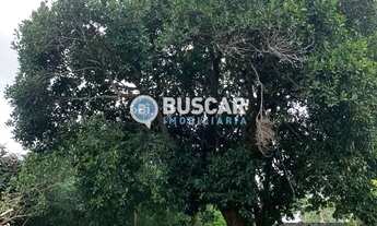 Imagem 5: Sítio em Sim, Feira de Santana/BA