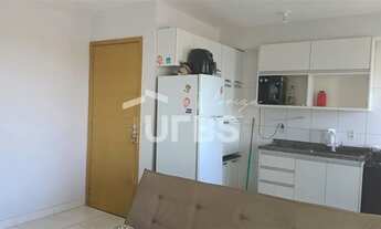 Imagem 5: Livre Ipiranga ao lado do terminal Padre Pelágio