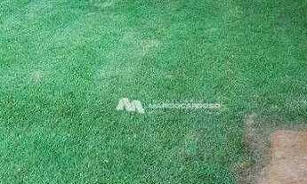 Imagem 7: Chácara com 3 dormitórios à venda, 1000 m² por R$ 380.000 - Estância São Carlos (Zona Rura