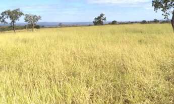 Imagem 4: Vende-se uma excelente fazenda de 530 hectares