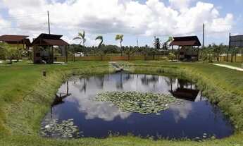 Imagem 3: Invista no Paraíso: Terreno em Piaçabuçu!