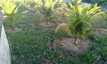 Imagem 4: Grande terreno comercial na Rodovia do Sol em Guarapari