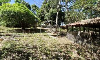 Imagem 5: Hidrolândia - Fazenda de 15 Alqueires codigo: 149884