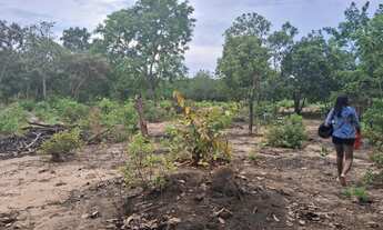 Imagem 6: Chácara 1200m quadrados. 30 por 44