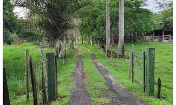 Imagem 4: Venda-se está propriedade 4,29 litros 840 m² no Município de Atílio Vivacqua /ES