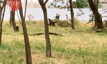 Imagem 7: Terreno para Venda ou Locação de 5000 m² no Recreio Anhanguera em Ribeirão Preto