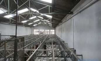 Imagem 7: GALPÃO - CURSINO - SP