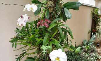 Imagem 5: Ótimo apartamento em rua tranquila