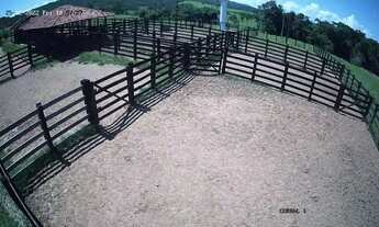 Imagem 2: Fazenda monta pecuária triângulo mineiro