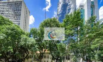 Imagem 6: Conjunto comercial para locação, Cerqueira César, São Paulo