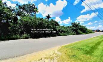 Imagem 4: Lote Terreno 7000 metros quadrados em Tarumã-Açu - Manaus - AM