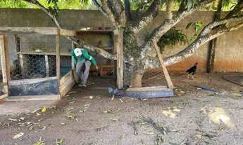 Imagem 6: Chácara casa sítio DF condomínio Incra 9