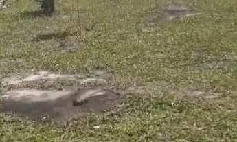 Imagem: VENDO TERRENO EM PANAQUATIRA