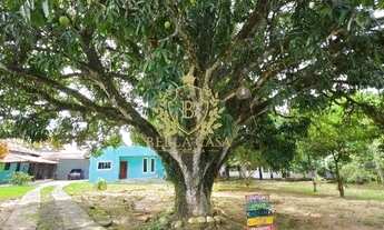Imagem 6: Chacará com 4,9 hectares - Ponte dos Leites - Araruama/RJ