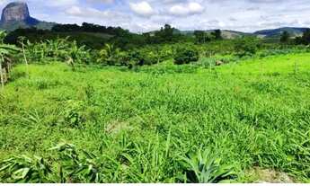 Imagem 4: Venda-se esta chácara de medindo 20x50 totalizando 1.000 M² no Município de Atílio Vivacqu