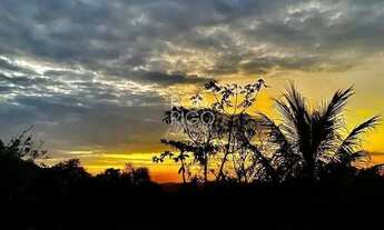 Imagem 4: Sítio em Santa Branca