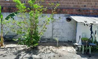 Imagem 5: Vende se Casa com 2 dormitórios