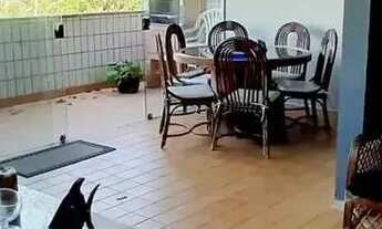 Imagem: Apartamento em Rua João Henrique do Nascimento