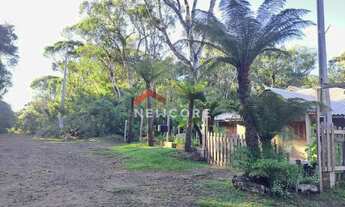 Imagem 6: Casa em rua quatis - Colinas - São Francisco de Paula/RS