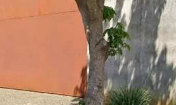 Imagem: ALUGO BARRACÃO (GALPAO) em Ivaiporã