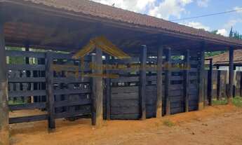 Imagem 3: Fazenda à venda com 183 alqueires em Cunha-SP