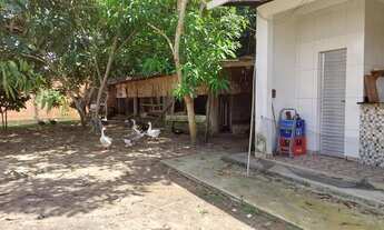 Imagem 5: Chácara br174 Terreno / lote com venda por R$600