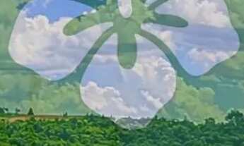 Imagem: Lotes residenciais p ara venda com 1000