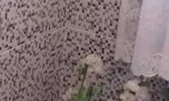 Imagem 7: Sobrado com 3 dormitórios à venda, 244 m² por R$ 880.000,00 - Jardim Utinga - Santo André