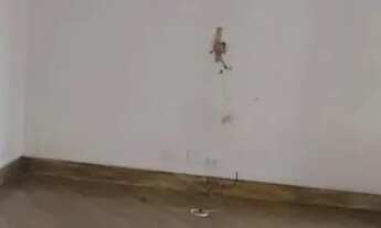 Imagem 5: Apartamento para locação em Jardim Marilu com 2 quartos , 47m²