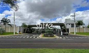 Imagem 3: Lote grande Golden Village