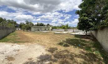 Imagem 5: Vendo pesque pague em Itaporanga DJuda