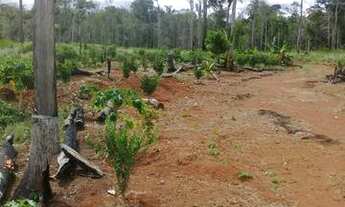 Imagem 3: Fazenda de 900 hectares Rorainópolis a 10 km da cidade