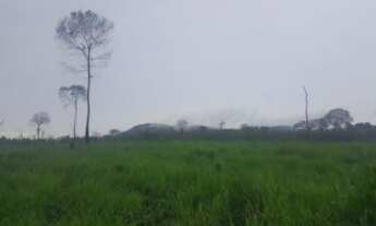 Imagem 2: Fazenda de 900 hectares Rorainópolis a 10 km da cidade