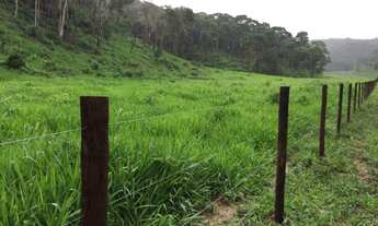 Imagem 6: Excelente Fazenda de 24,5 alqueires