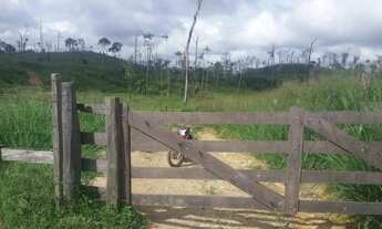 Imagem 3: Terra 20 Alqueires 11.000 por alqueires