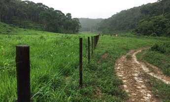 Imagem 4: Excelente Fazenda de 24,5 alqueires