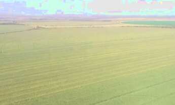 Imagem 2: Fazenda em Paracatu-MG, 2.200 hectares